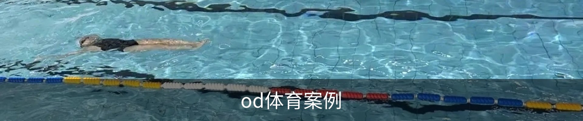 od体育案例